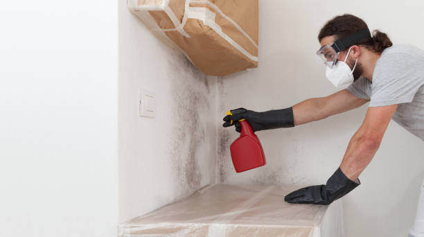 Professional Crawl Space Mold Removal technician working in Westfield, MA