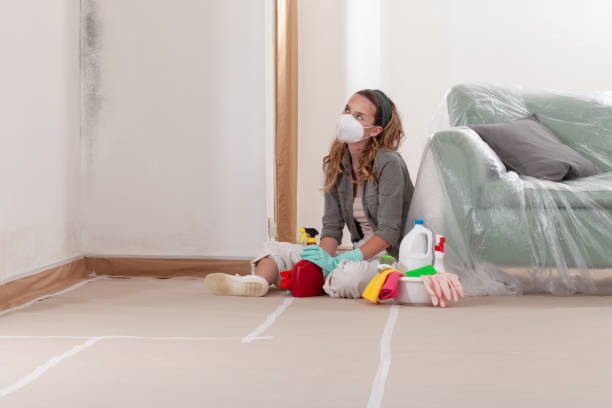Reliable Crawl Space Mold Removal contractor in Westfield, MA by WQB Mold Removal